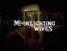 Joseph W  Sarno's Moonlighting