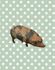Medium Pink Patched Pig Collectable (Version 2) | Britains Ltd Vintage Lead Pig