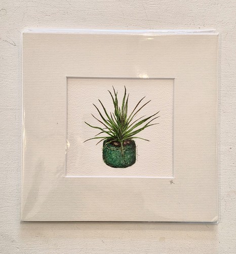 Original still life houseplant - original,