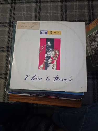 Rex love to - i,