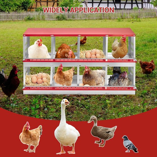 Chicken nest boxes - nest,