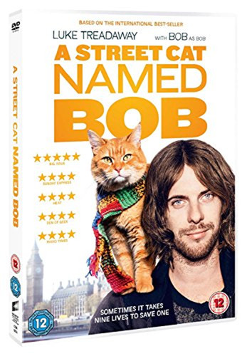 Street cat named bob - cat,