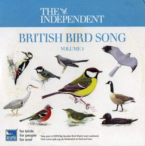 British bird song - bird, :