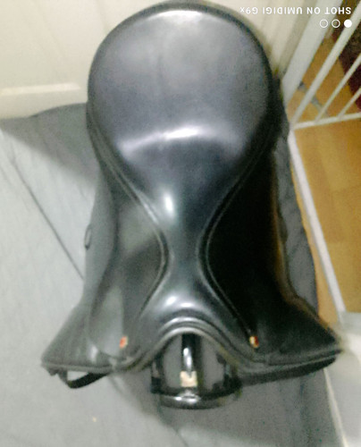 Albion black leather dressage - albion,