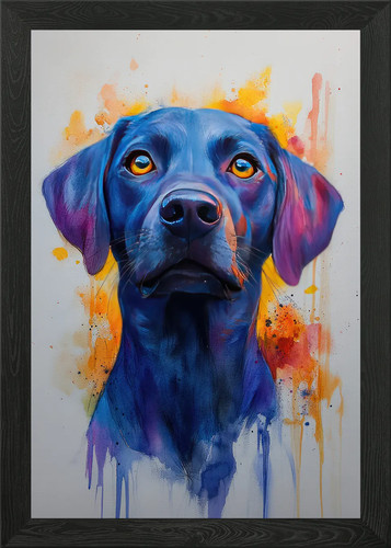 Labrador retriever dog - labrador,