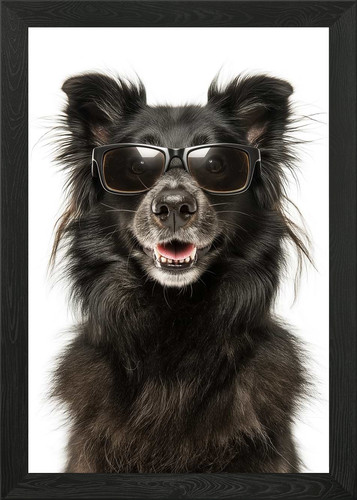 Cool mudi dog with - with, sunglasses