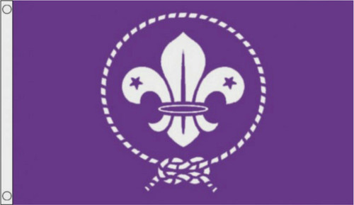 Scouts flag cubs - x,