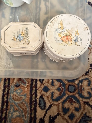 Beatrix potter 100 years - 100,