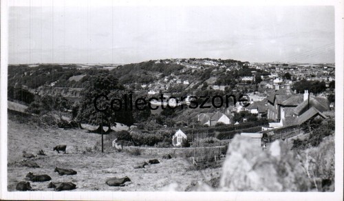 1951 salcombe devon from east - salcombe,