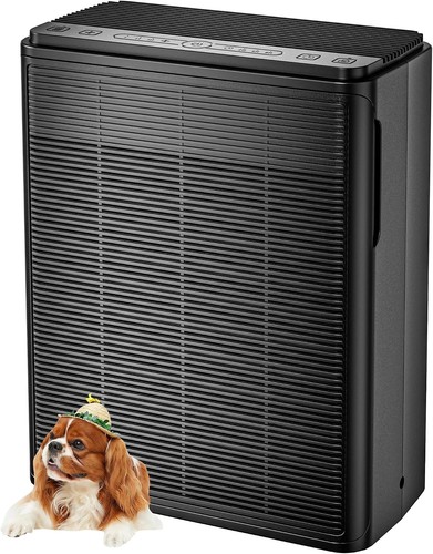 Air purifier for - purifier,