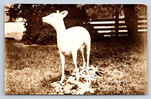 Vintage rppc hart albino - mi,