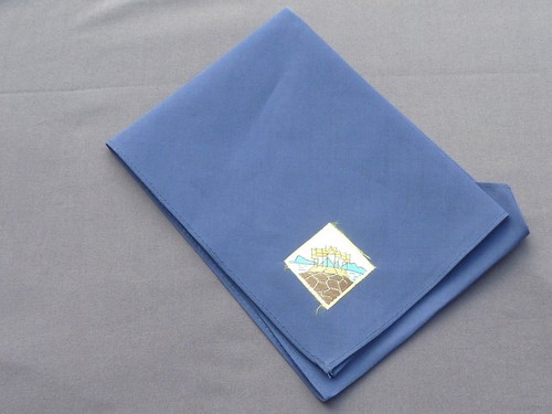 Thailand boy scouts necker - boy,