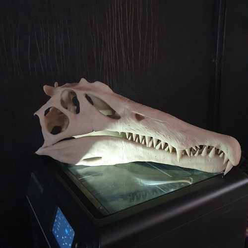 Spinosaurus dinosaur large - dinosaur,