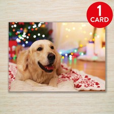 Golden Retriever Christmas Cards & Packs Goldies From the Dog Blank Xmas Cards