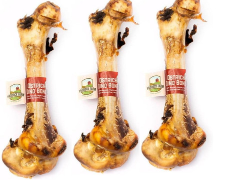 Ostrich dino bone - ostrich,