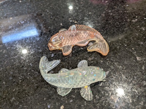 Ying yang koi - koi, small