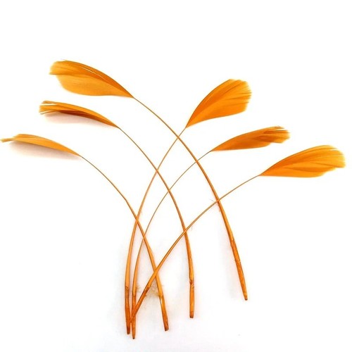 Long fascinators feathers - long,