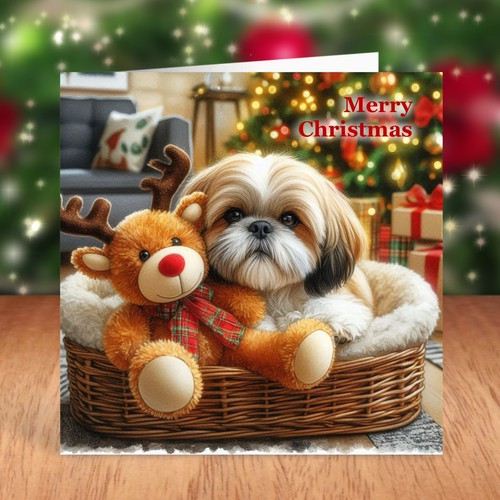 Shih tzu dog christmas card - christmas,