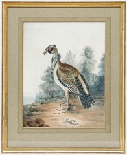 19th Century Watercolour -