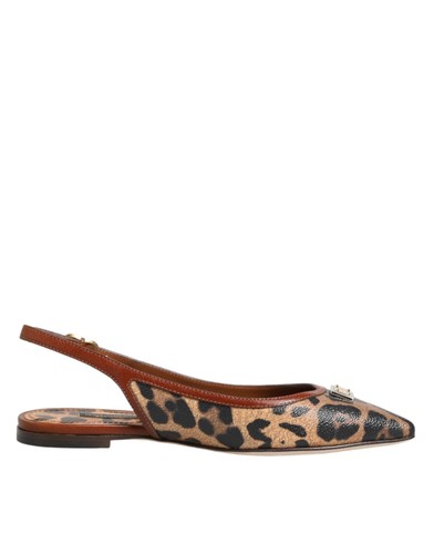 Dolce gabbana women - dolce&gabbana, brown