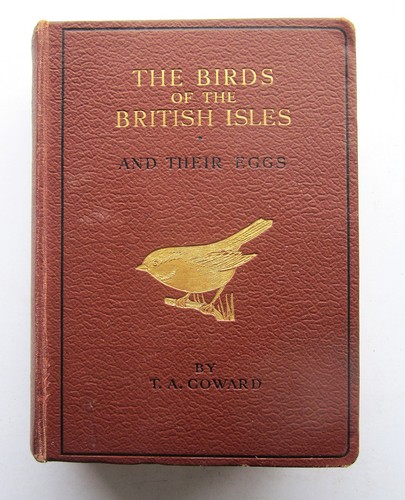 1933 british birds eggs - 1933,