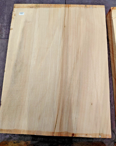 Beech sycamore blank - beech/sycamore, wood