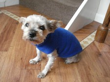 Hand Knitted Dog