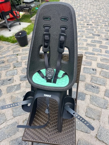 Thule yepp nexxt maxi rack - yepp,