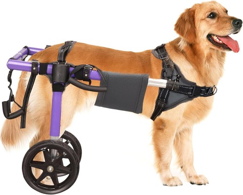 Dog wheelchair for back legs - dog,