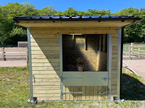 Mini apex timber - mini,