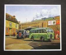 9.20" x  7.40"  MALCOLM ROOT