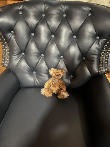 Charlie bears flummadiddle - bears,