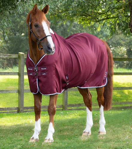 Premier equine buster - premier,