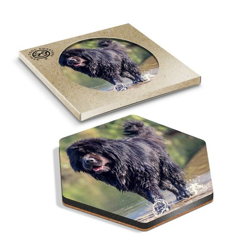 Hexagon coaster - hexagon,