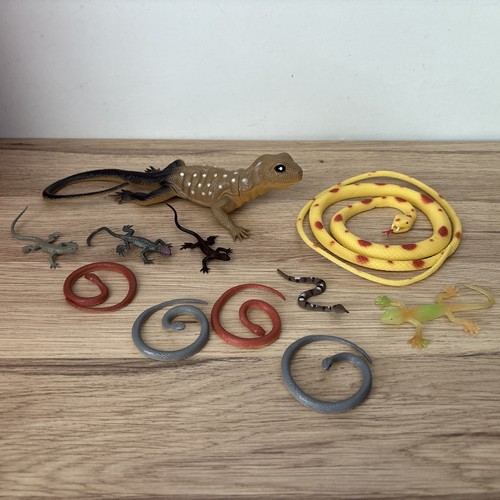 Reptile animal bundle - bundle, lizards