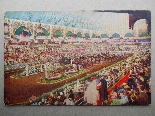 International horse show - international,