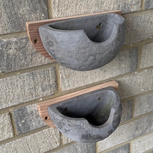 House martin nest box - martin, bird
