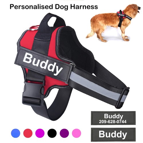 Personalized dog harness - personalized, no