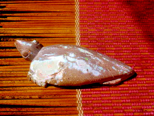 Zuni fetish carver neil - zuni,