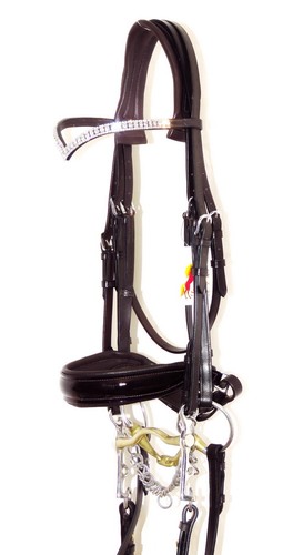 Fss anatomic freeform shimmer - anatomic,