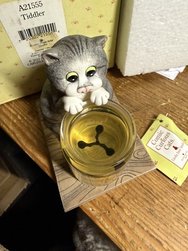 Comic curious cats - curious, (a21555)