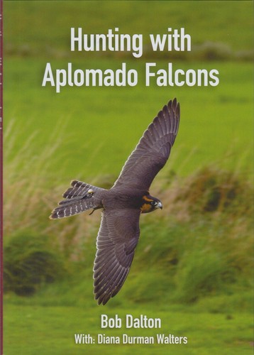 Dalton bob falconry - bob, &