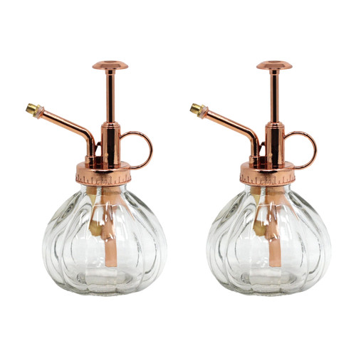 2pc rose gold glass - 2pc,
