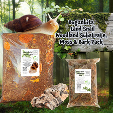 Bugznbits Organic Woodland