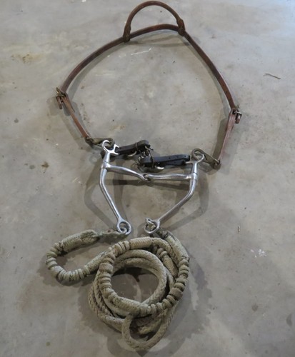 Bridle single ear - single,