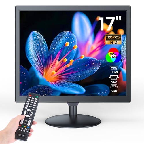 Security monitor 100 - 17",
