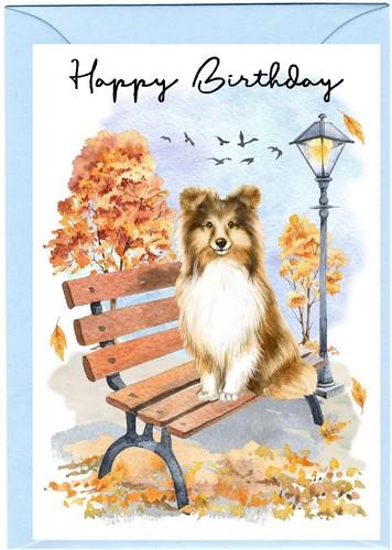 Shetland sheepdog sheltie - sheepdog, /
