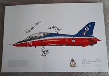 Squadron print hawk xx176 - print,