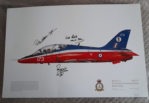Squadron print hawk - print,