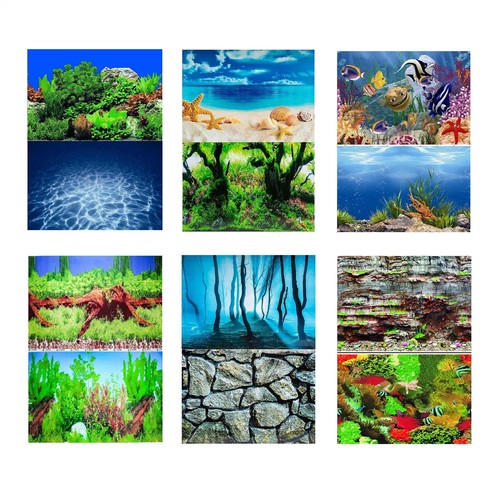 Aquarium fish tank background - aquarium,